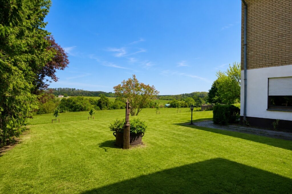 Blick ins Grüne